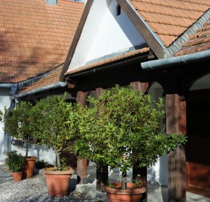 Opowieść o dawnych Bronowicach – spotkanie z mieszkańcami