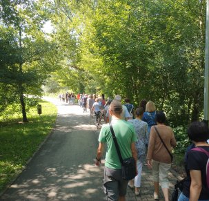 Te wspaniałe Bagry